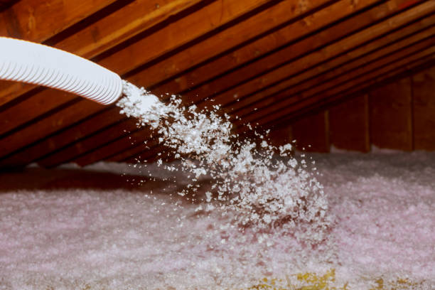 Best Geographic-Specific Insulation Services in Mantachie, MS
