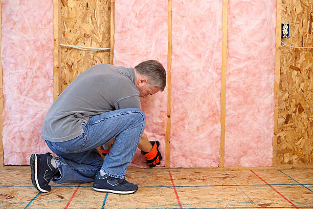Best Blown-in Insulation in Mantachie, MS
